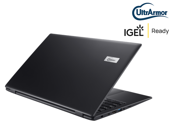 Conexiones Thin client IGEL UD3